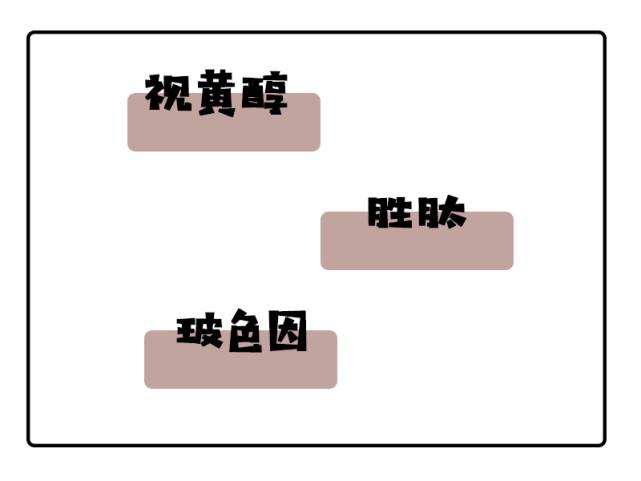 胜肽與玻色因,為什麼說玻色因遠遠不如胜肽來得實在?