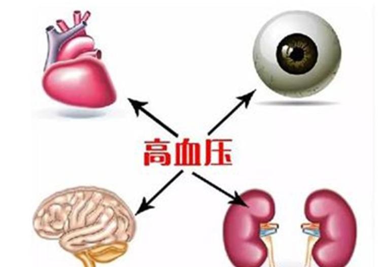 高血压补叶酸吃多长时间合适同型半胱氨酸高多长时间复查