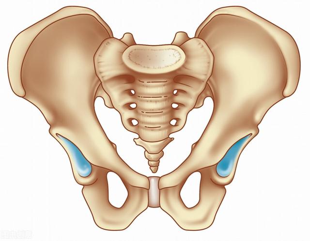 外伤原因包括跌倒后尾骨着地碰撞硬物致尾椎骨折和脱位,由于骶尾部位