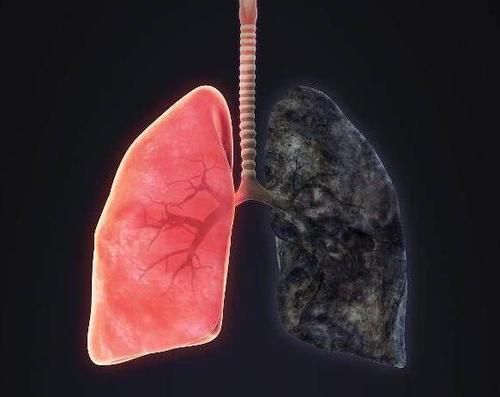 抽烟肺黑图片正常图片