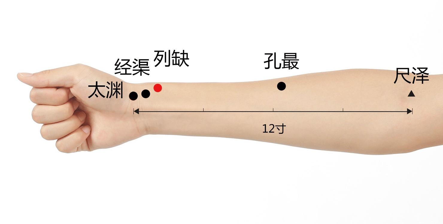 尺泽肘横纹中