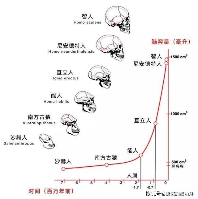 脑容量变化表情包图片