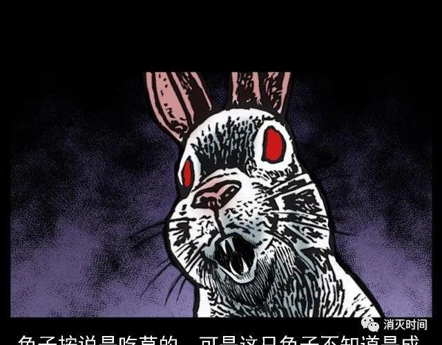 卡通兔恐怖照片图片