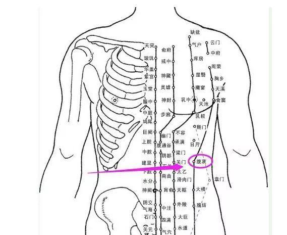 左锁骨第二肋间位置图图片