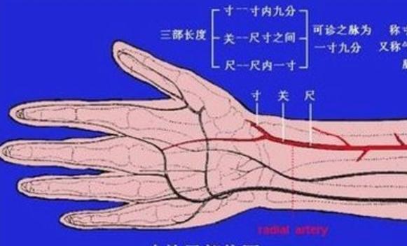 太医给怀孕女性把脉诊出喜脉的原理是什么很多人或都难以置信