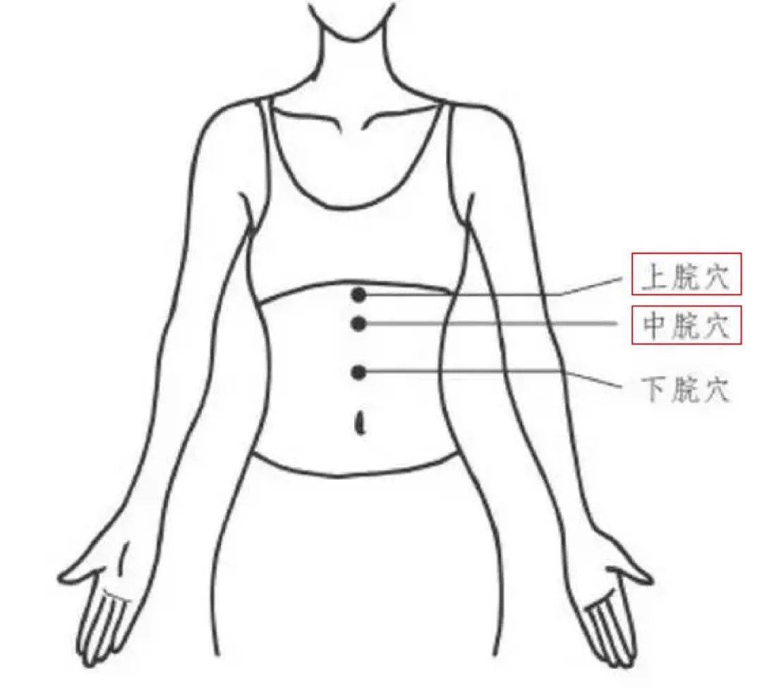 胃脘部的准确位置图图片