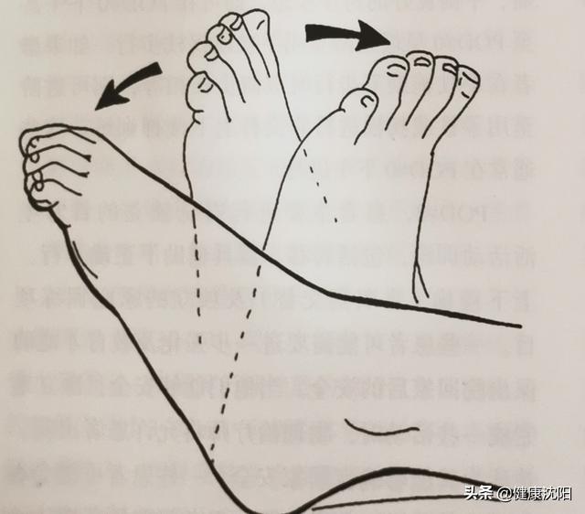 踝泵运动图解示意图图片