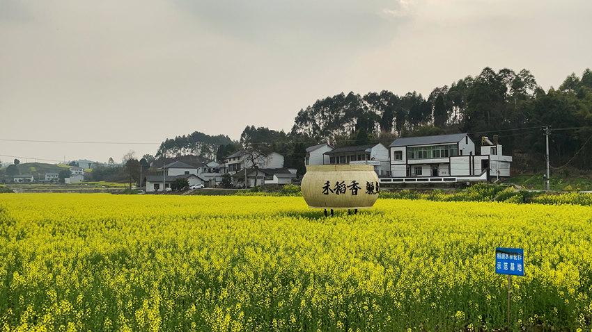 内江威远县严陵镇禾丰村新景.