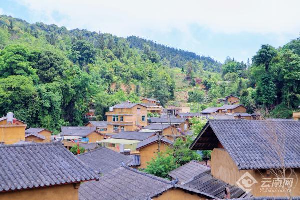 初夏,走进文山壮族苗族自治州马关县金厂镇罗家坪村,沿着石板铺成的