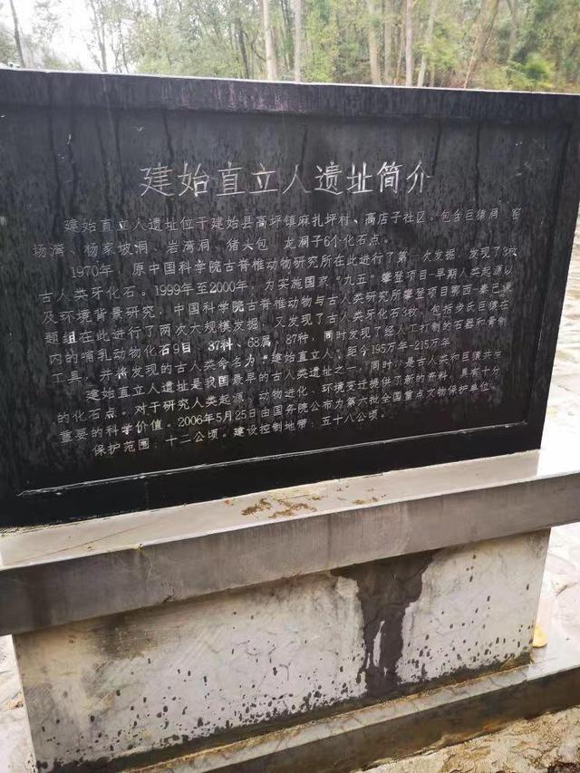 蓮花縣的雞都跑哪去了|蓮湖還有雞嗎_黑龍江東北網_(---