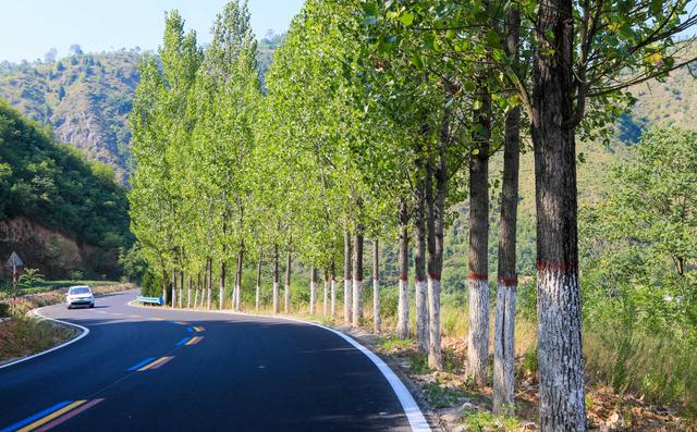 近年來,盧氏縣把路域環境整治,道路修復和鄉村環境改善同步規劃,著力