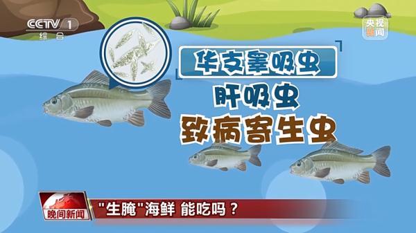 和海魚裡面的異尖線蟲就是淡水魚裡面的肝吸蟲生食中我國最常見的寄生