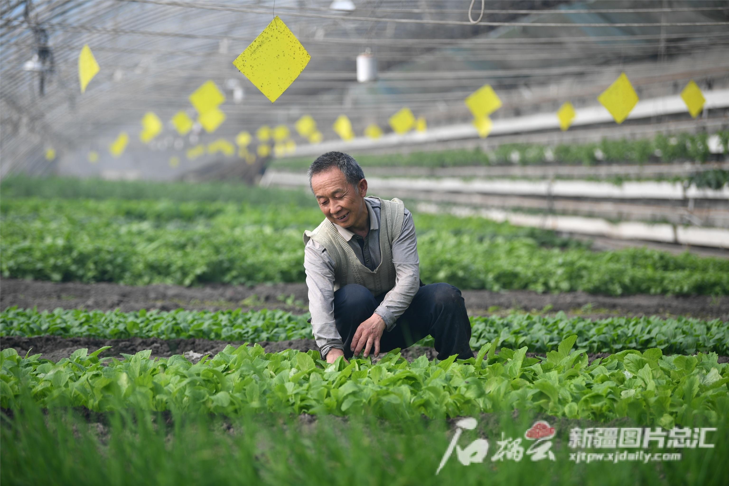 【携程攻略】乌鲁木齐人民公园门票,乌鲁木齐人民公园攻略/地址/图片/门票价格