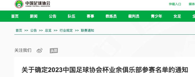 武漢這支業余球隊將參加足協杯