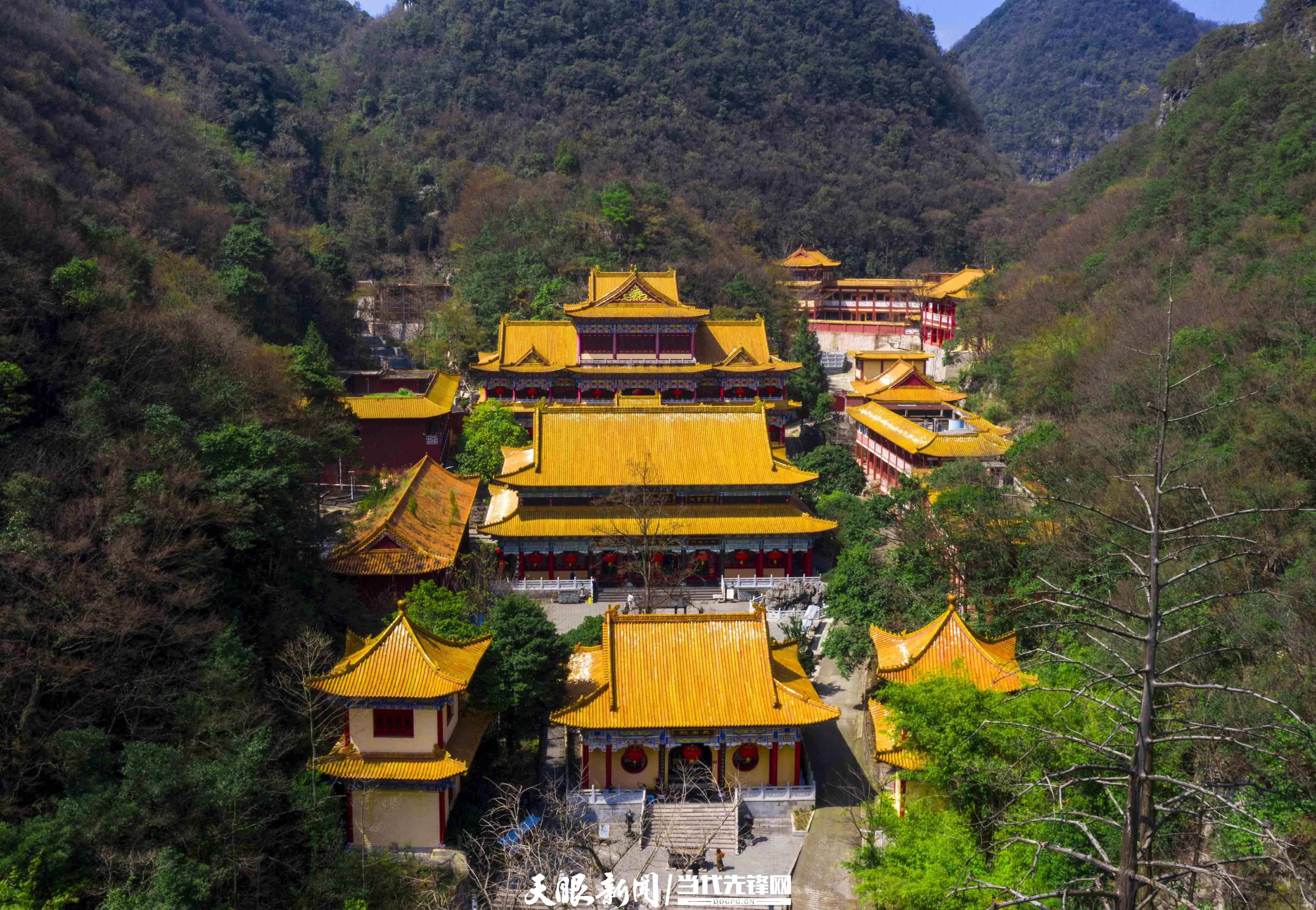 江西万安九龙禅寺图片