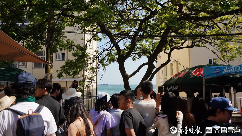 琴岛观澜丨从“网红墙”到“孤独的树”，小众打卡地有啥流量密码
