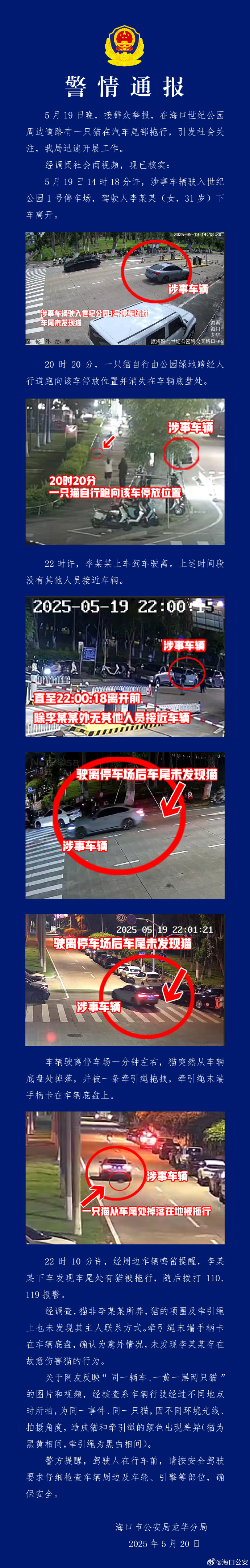 警方回应宝马拖行小猫致死：系意外
