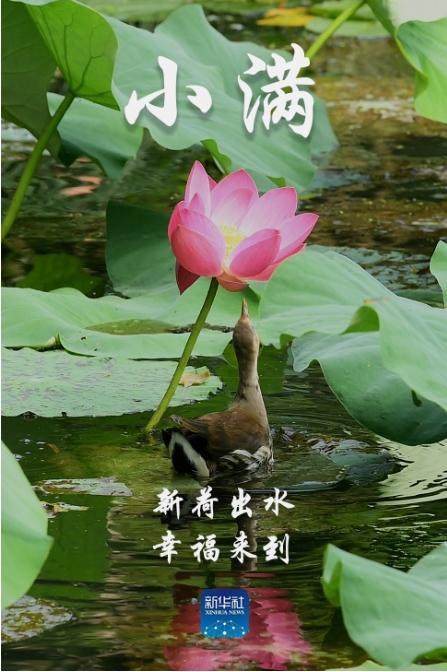 小满！祝你幸福美满