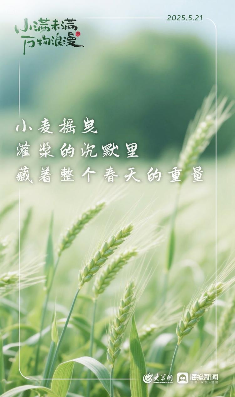 小满未满·万物浪漫