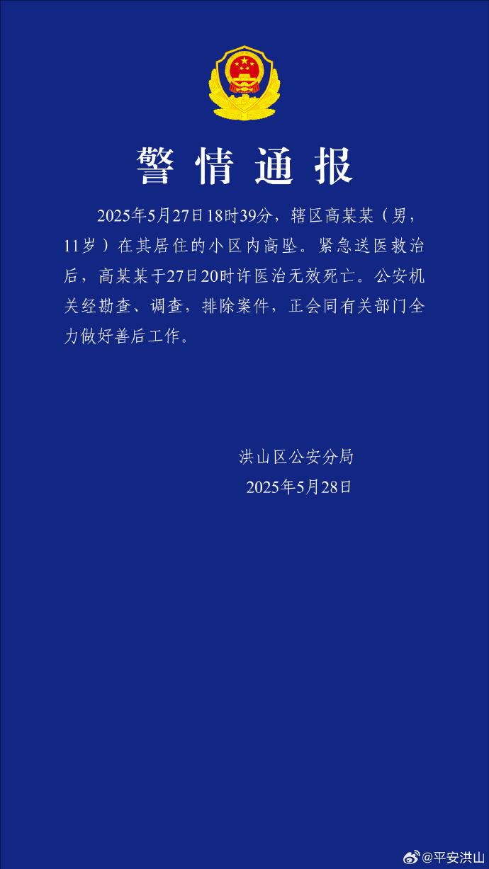武汉一11岁男孩坠亡，警方通报：排除案件